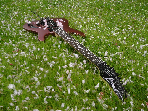 Ibanez